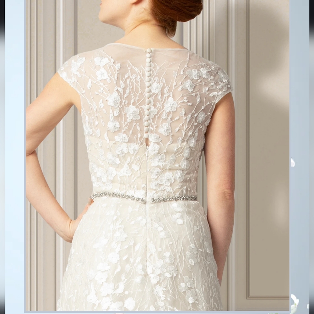 New! Darryl Jagga Hannah A-Line Floral Applique Wedding Dress Embellished Belt - Picture 4 of 16